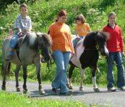 Ponnyreiten in Gengenbach